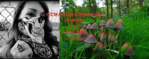 не бодяженный Касимов