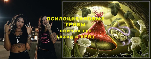 mdpv Карпинск