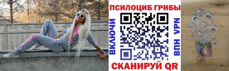 Галлюциногенные грибы GOLDEN TEACHER  Купить  Зеленогорск 