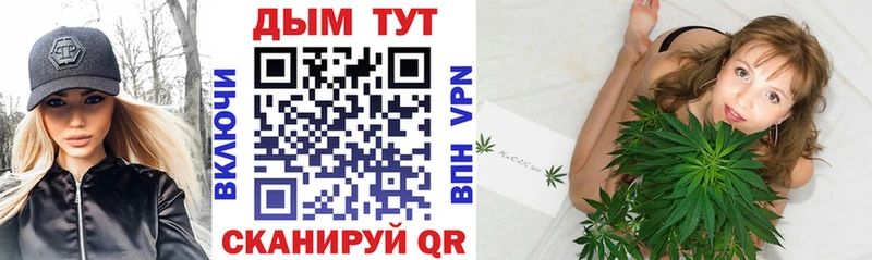 Купить  Зеленогорск  Бошки Шишки план 
